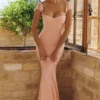 Antonella Perzikkleurige mesh maxi-jurk