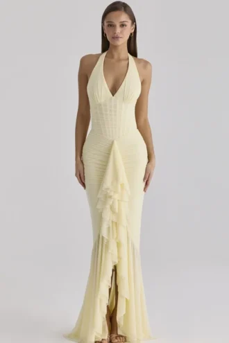 Carmine Lemon Mesh Silhouette Maxi-jurk