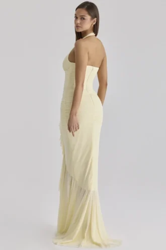 Carmine Lemon Mesh Silhouette Maxi-jurk