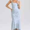 Cesca Bluebell maxi-jurk met bloemenprint