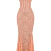 Cordelia Sorbet Lace Godet Maxi-jurk