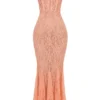 Cordelia Sorbet Lace Godet Maxi-jurk