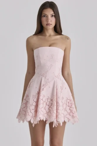 Jemima Roze Strapless Cut-Out Broderie Anglaise Mini-jurk