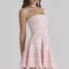 Jemima Roze Strapless Cut-Out Broderie Anglaise Mini-jurk